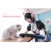 G951PINK cat ear headphones